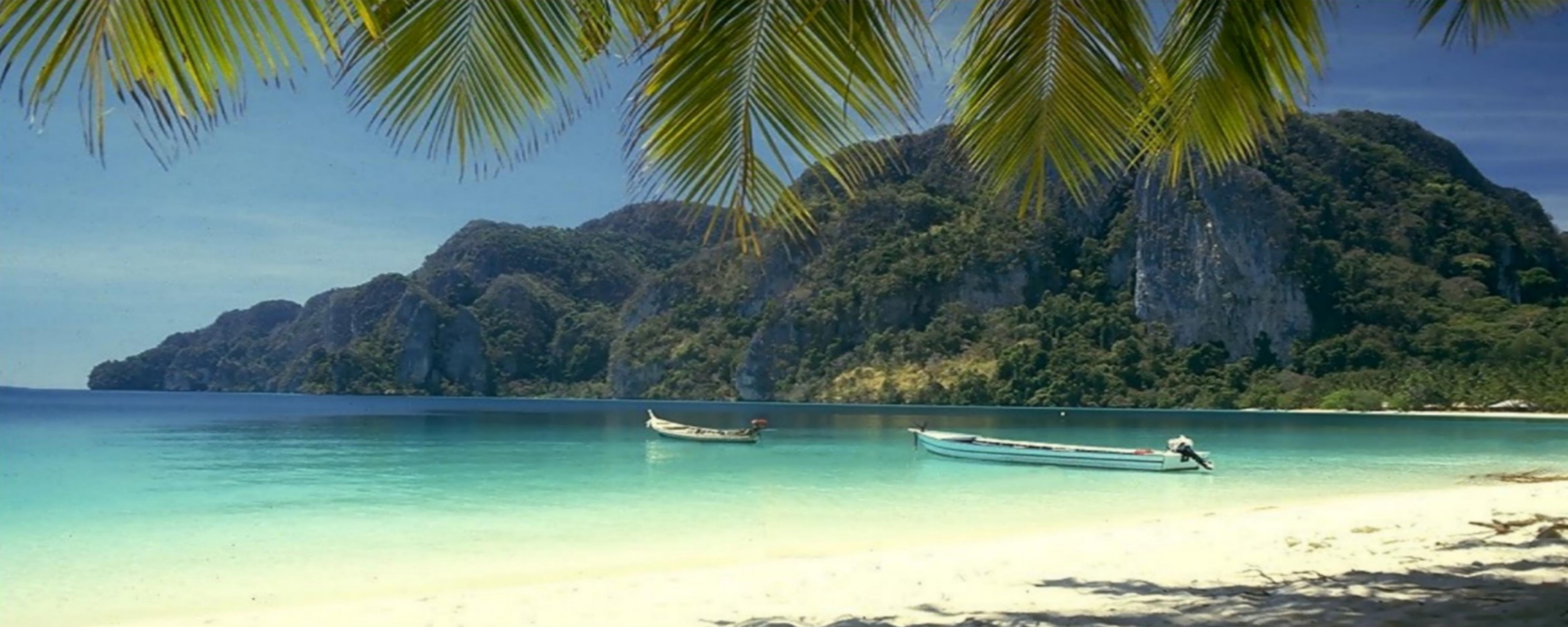 Téléchargez gratuitement l'image Tropical, Photographie sur le bureau de votre PC