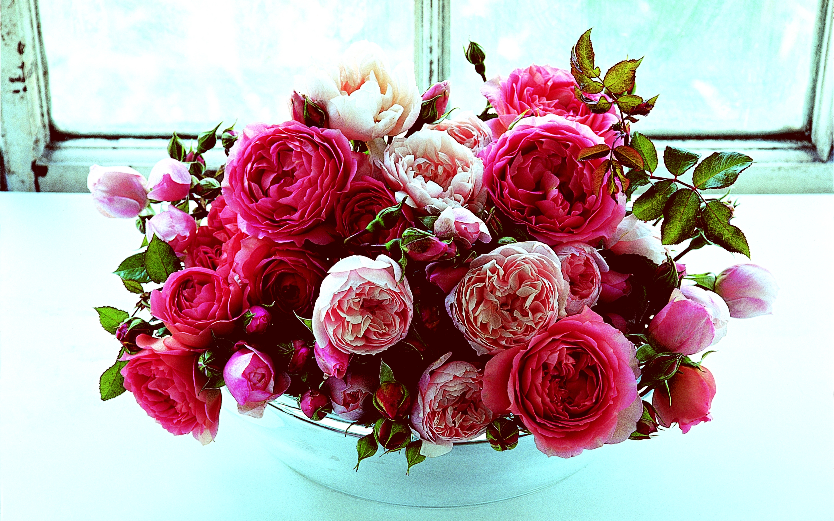無料モバイル壁紙花, 薔薇, 丼鉢, マンメイド, ピンクのバラをダウンロードします。