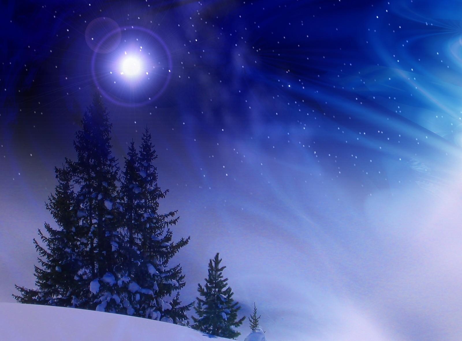 fir trees, holidays, winter, snow, snowstorm, midnight