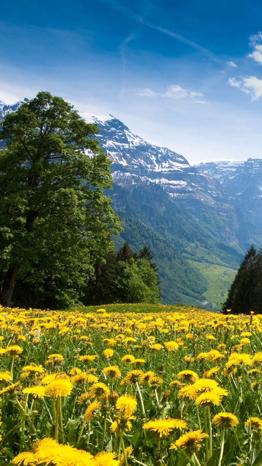 Handy-Wallpaper Erde/natur, Landschaft kostenlos herunterladen.