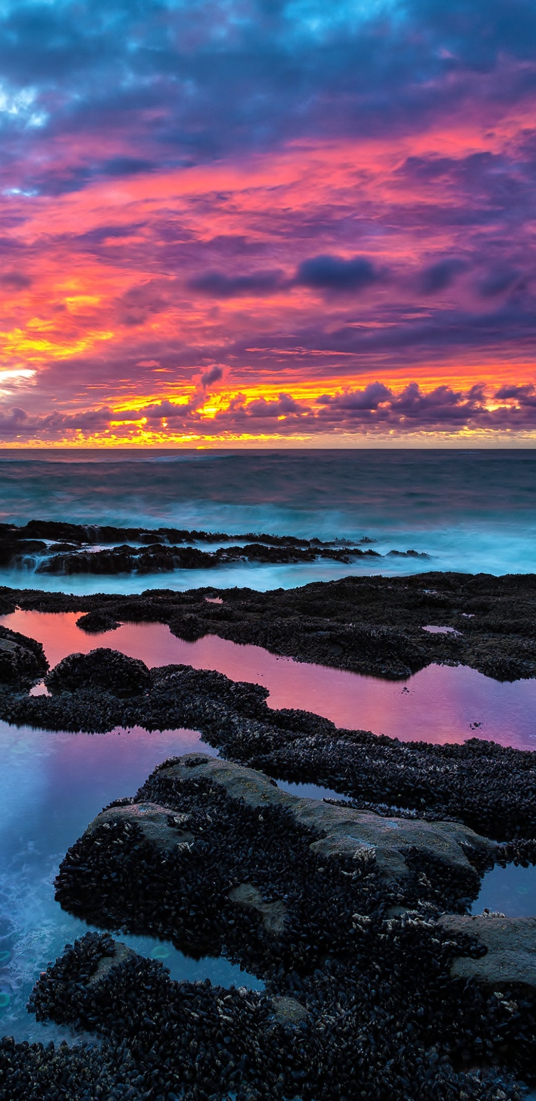 Descarga gratuita de fondo de pantalla para móvil de Cielo, Mar, Océano, Atardecer, Tierra/naturaleza.