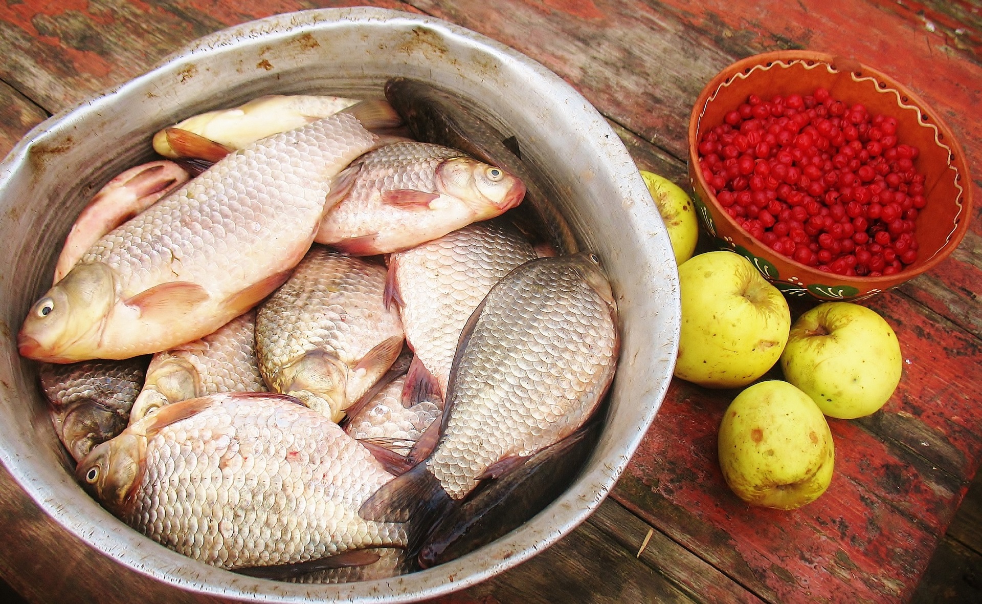 Download mobile wallpaper Food, Still Life, Fish for free.