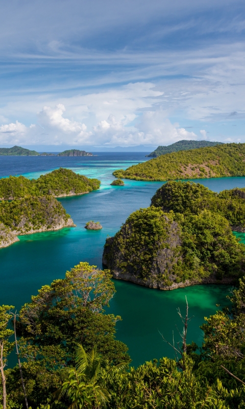 Скачать картинку Природа, Океан, Земля, Остров, Индонезия, Земля/природа в телефон бесплатно.