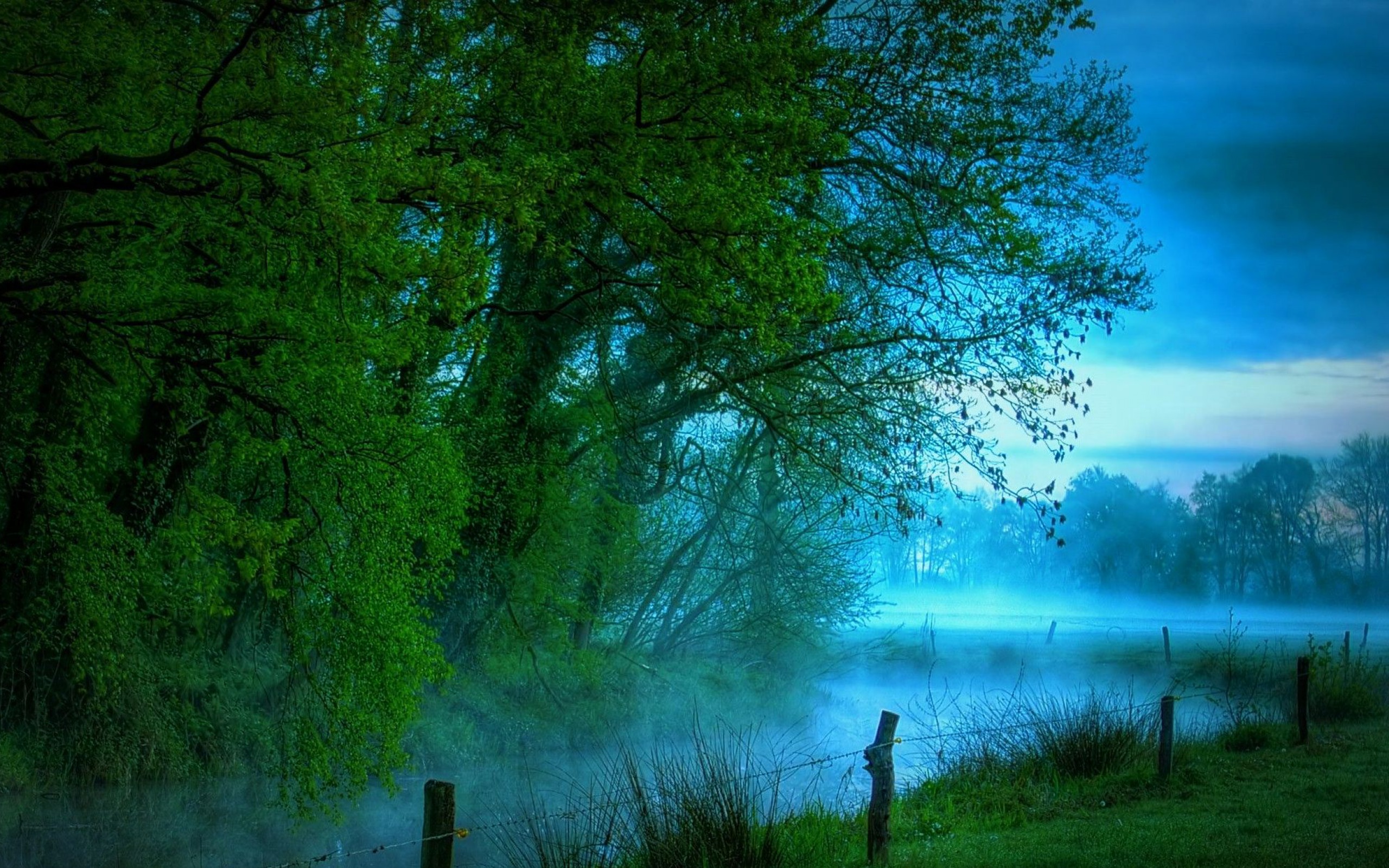 Descarga gratuita de fondo de pantalla para móvil de Niebla, Tierra/naturaleza.