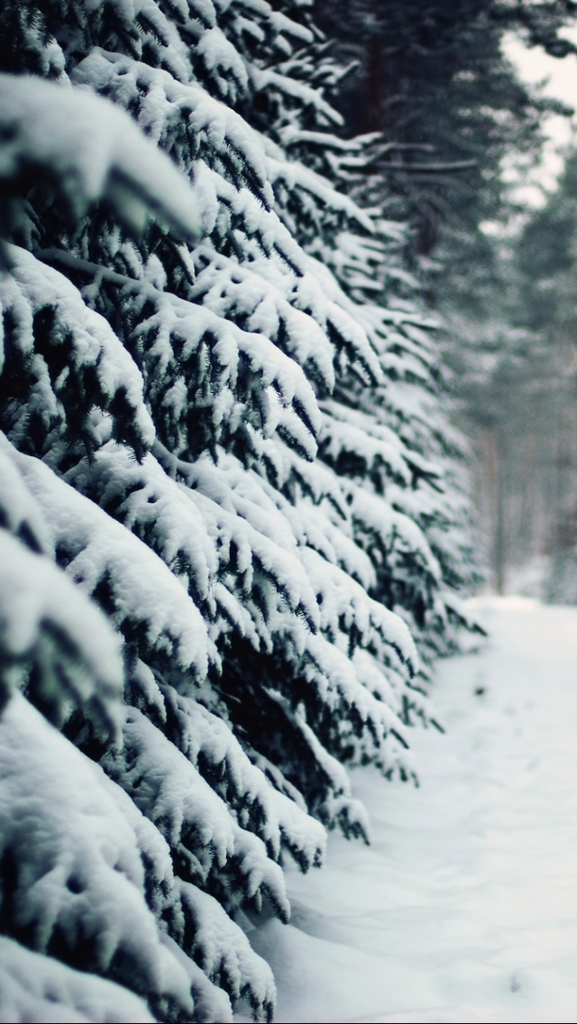 Téléchargez des papiers peints mobile Hiver, Terre/nature gratuitement.