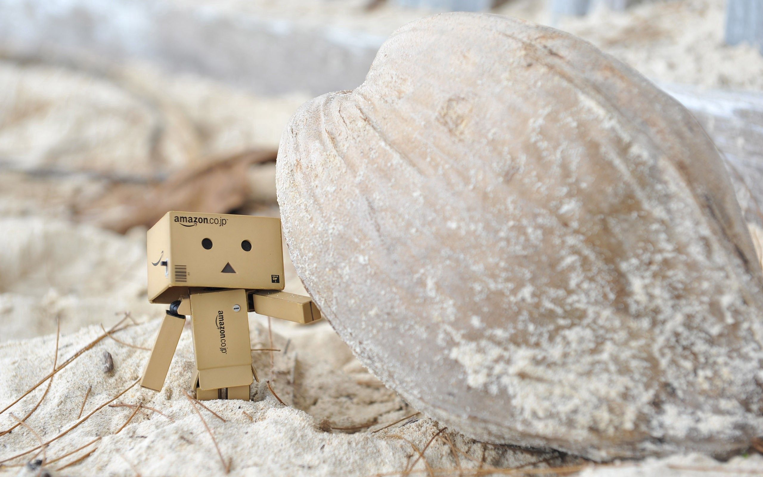 sand, rock, miscellanea, miscellaneous, stone, cardboard robot, danboard