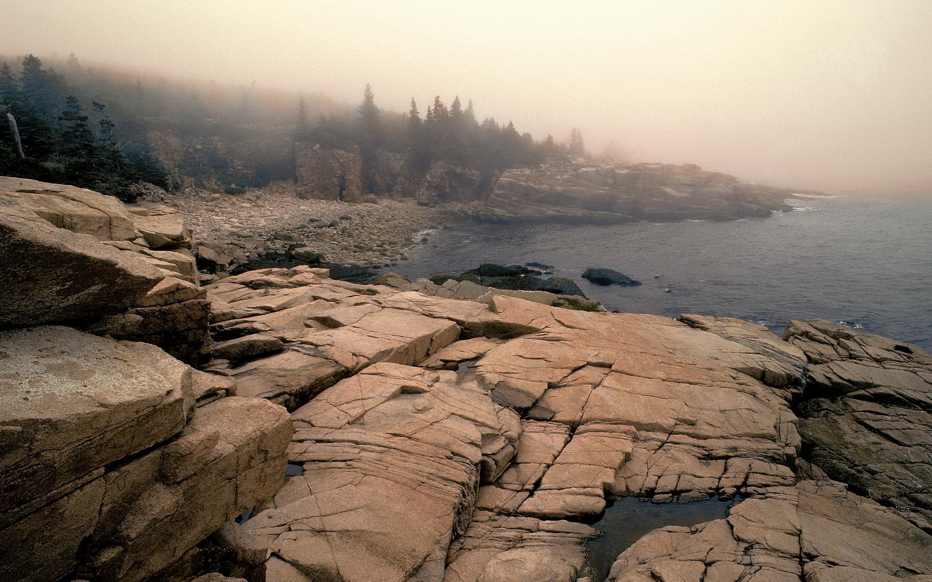 Descarga gratuita de fondo de pantalla para móvil de Niebla, Tierra/naturaleza.