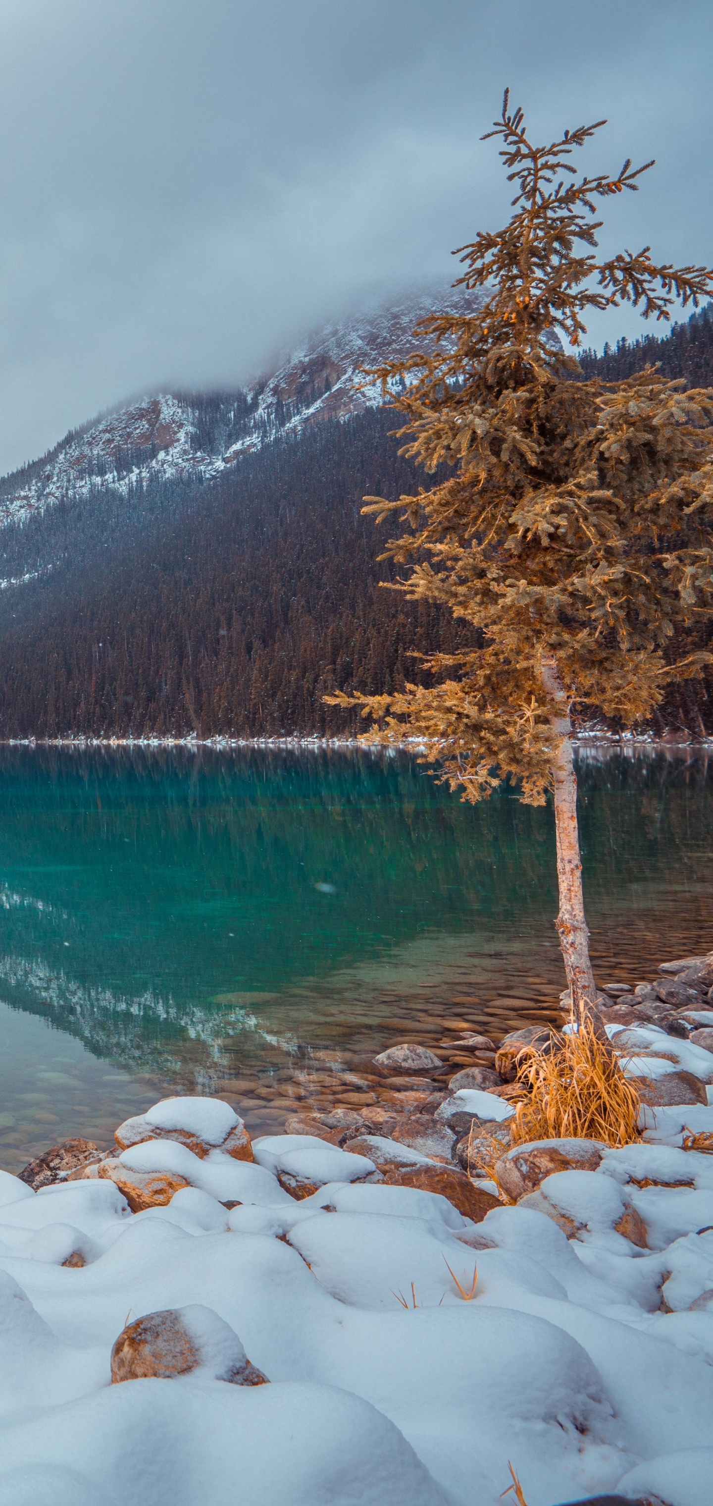 1157592 Hintergrundbild herunterladen erde/natur, lake louise, schnee, winter, see, seen - Bildschirmschoner und Bilder kostenlos