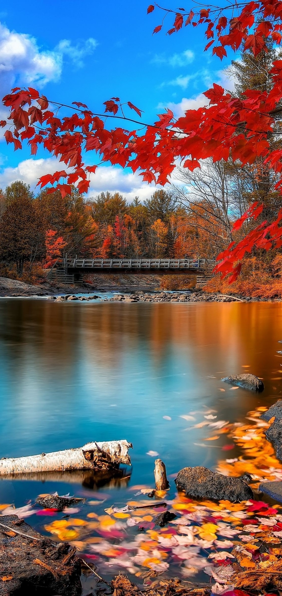 Download mobile wallpaper Nature, Water, Lake, Leaf, Fall, Earth, Bridge for free.