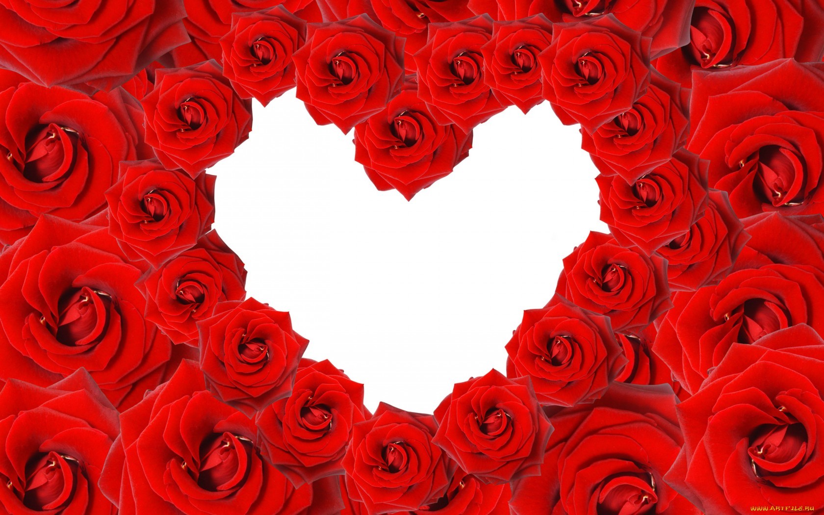 Téléchargez gratuitement l'image Saint Valentin, Fêtes, Contexte, Fleurs, Roses, Cœurs sur le bureau de votre PC