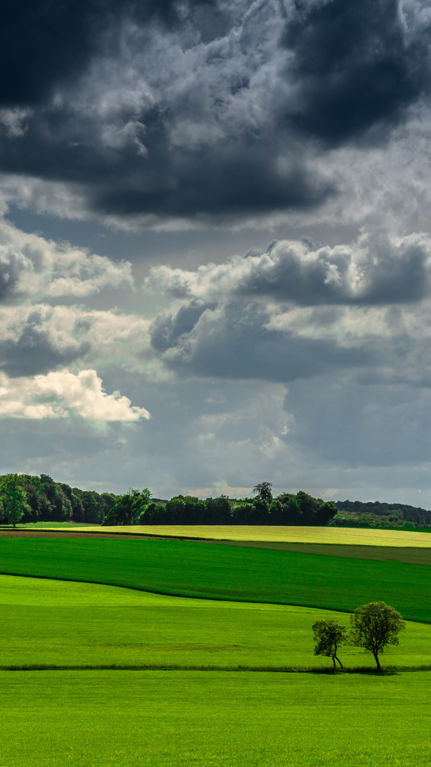Download mobile wallpaper Landscape, Nature, Summer, Earth, Field, Cloud for free.