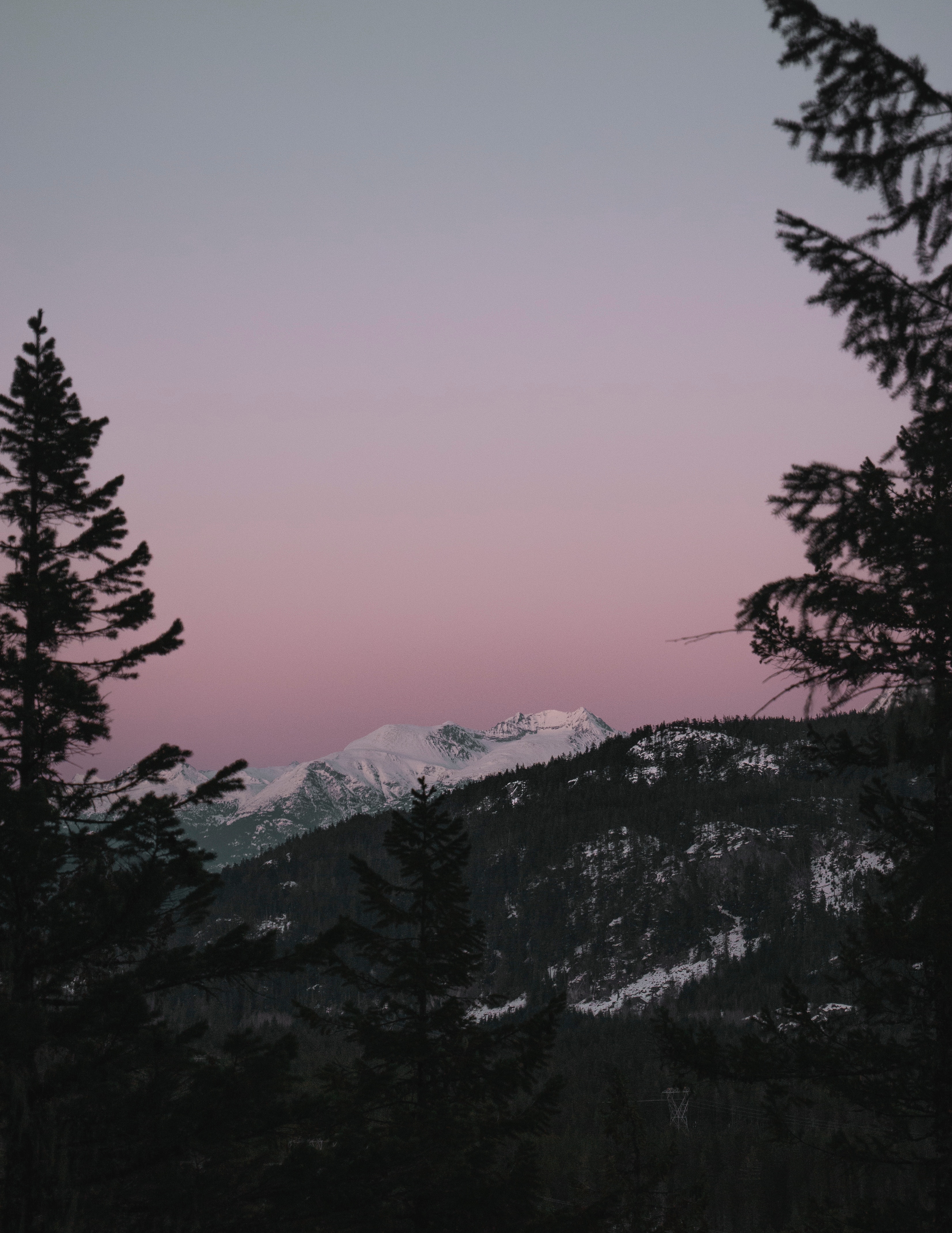 145314 descargar imagen naturaleza, árboles, puesta del sol, cielo, montaña, vértice, arriba, cubierto de nieve, nevado: fondos de pantalla y protectores de pantalla gratis