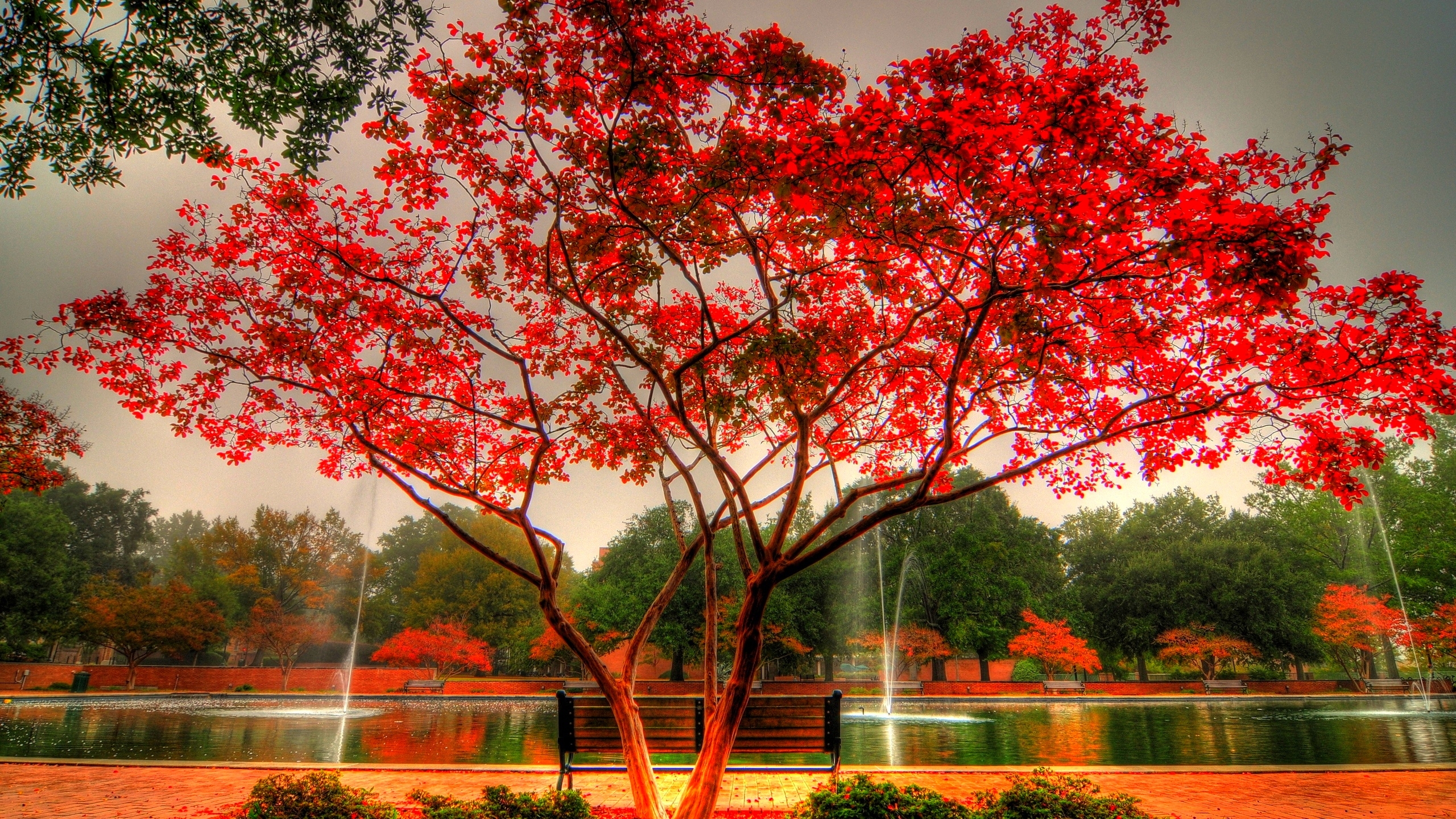 Download mobile wallpaper Park, Tree, Fall, Earth, Photography for free.
