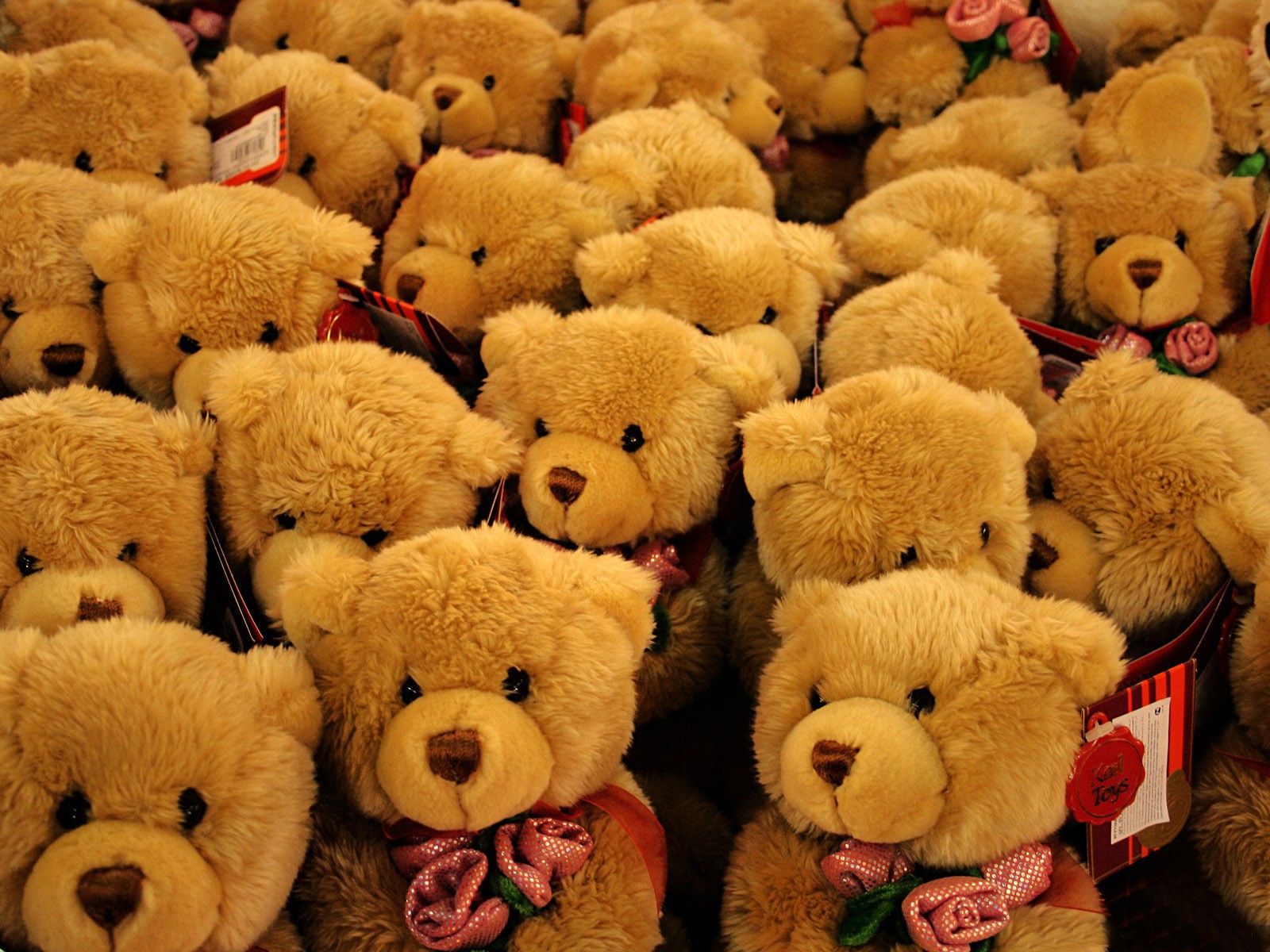 Free download wallpaper Valentine's Day, Teddy Bear, Holiday, Bear, Toy, Cute on your PC desktop