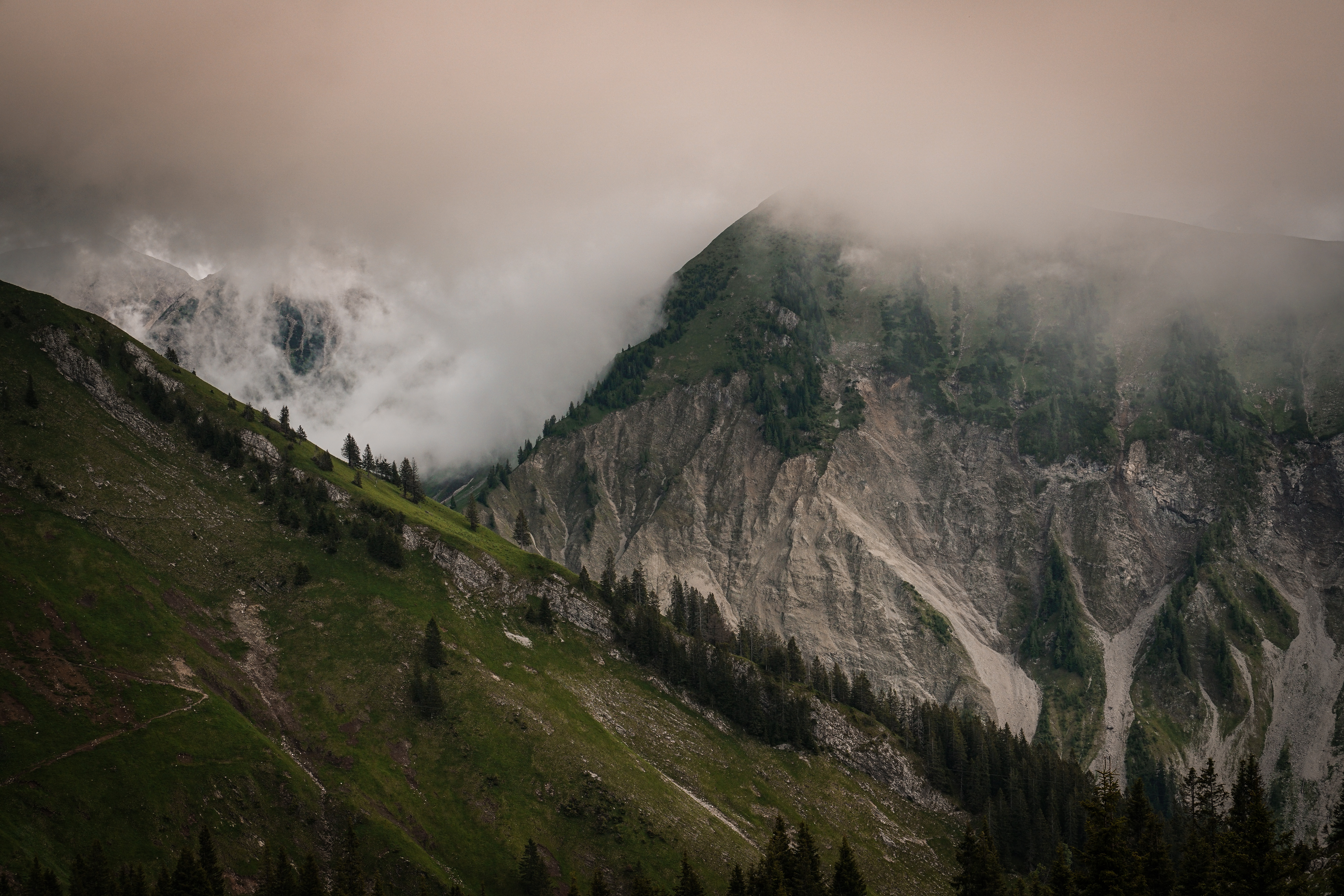 Laden Sie das Natur, Bäume, Felsen, Nebel, Steigung, Mountains, Die Steine-Bild kostenlos auf Ihren PC-Desktop herunter