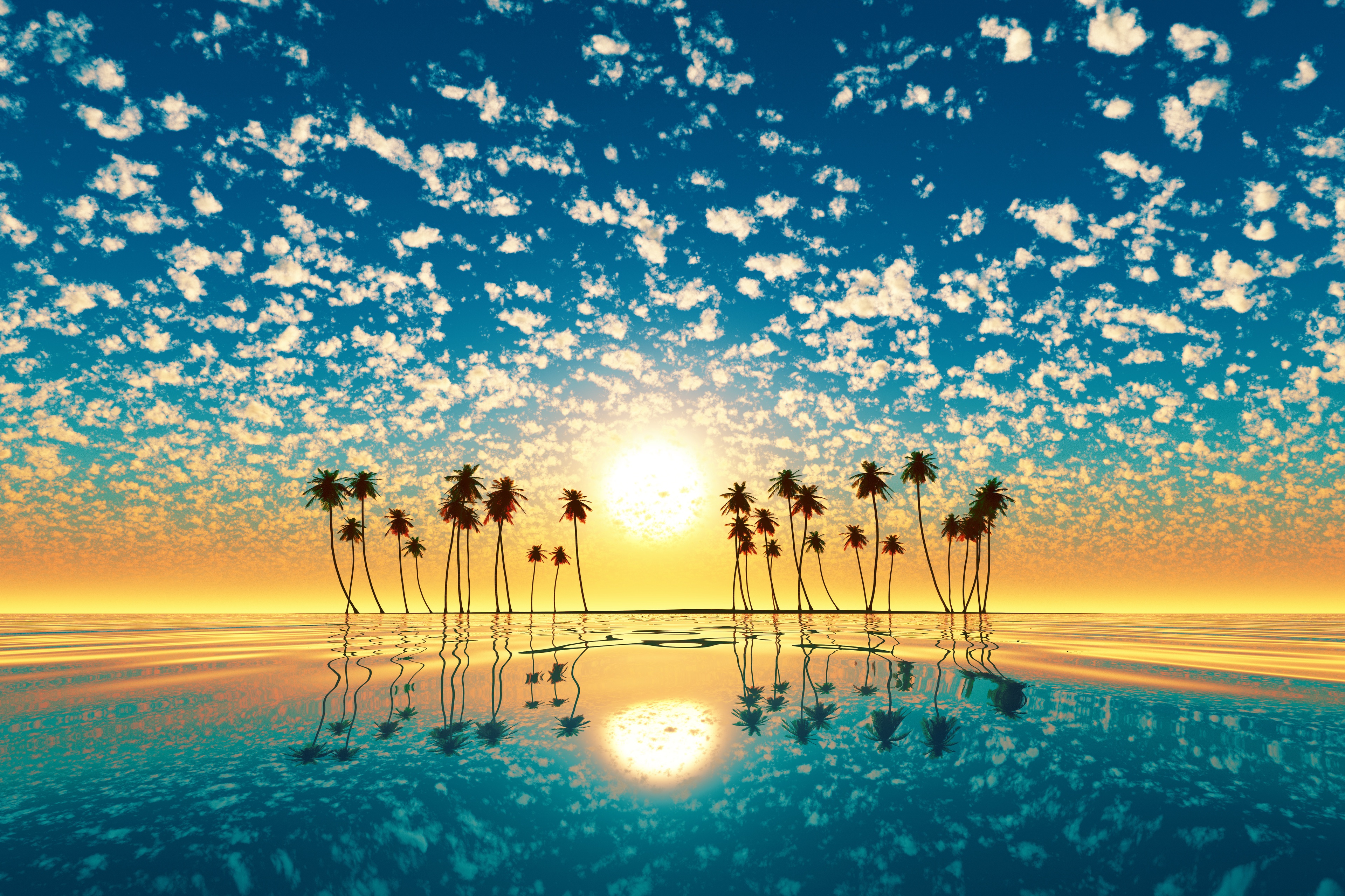 Laden Sie das Palme, Himmel, Sonnenuntergang, Sonne, Erde/natur, Spiegelung-Bild kostenlos auf Ihren PC-Desktop herunter