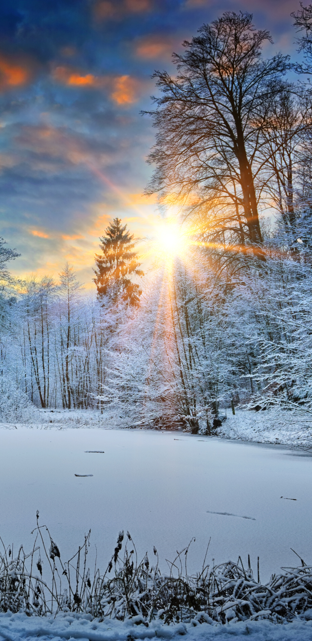Descarga gratuita de fondo de pantalla para móvil de Invierno, Nieve, Atardecer, Tierra/naturaleza, Puesta De Sol.