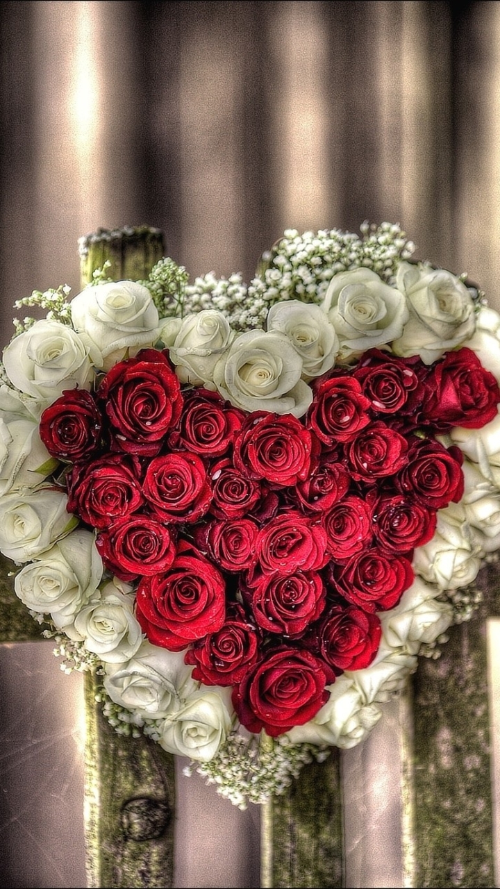 Download mobile wallpaper Valentine's Day, Flowers, Love, Rose, Earth, Heart, Red Rose, White Flower, Red Flower, Heart Shaped for free.