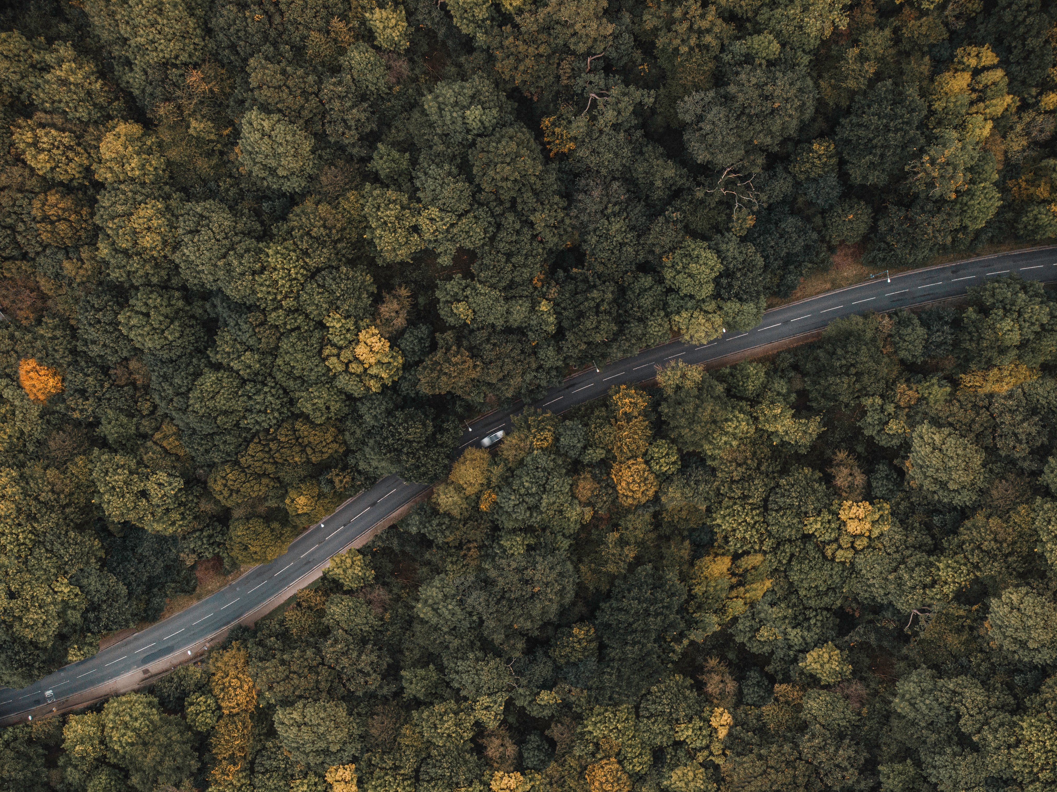 Download mobile wallpaper Top, Trees, Tops, Machine, View From Above, Forest, Road, Car, Nature for free.