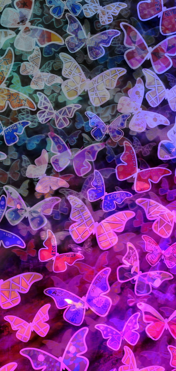 Download mobile wallpaper Pink, Colors, Butterfly, Animal, Colorful for free.