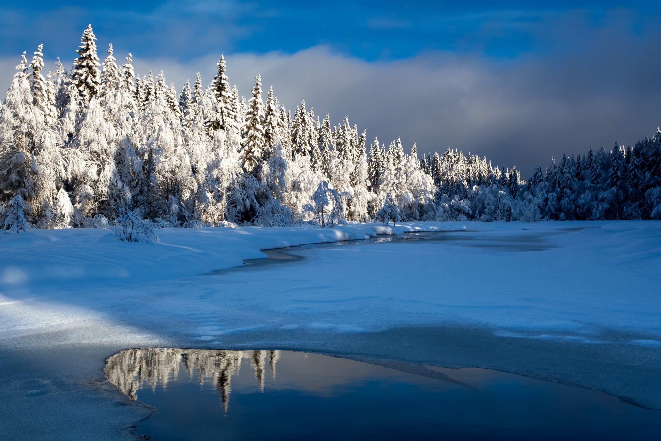 PCデスクトップに冬, 自然, 水, 雪, 反射, 森, 地球画像を無料でダウンロード