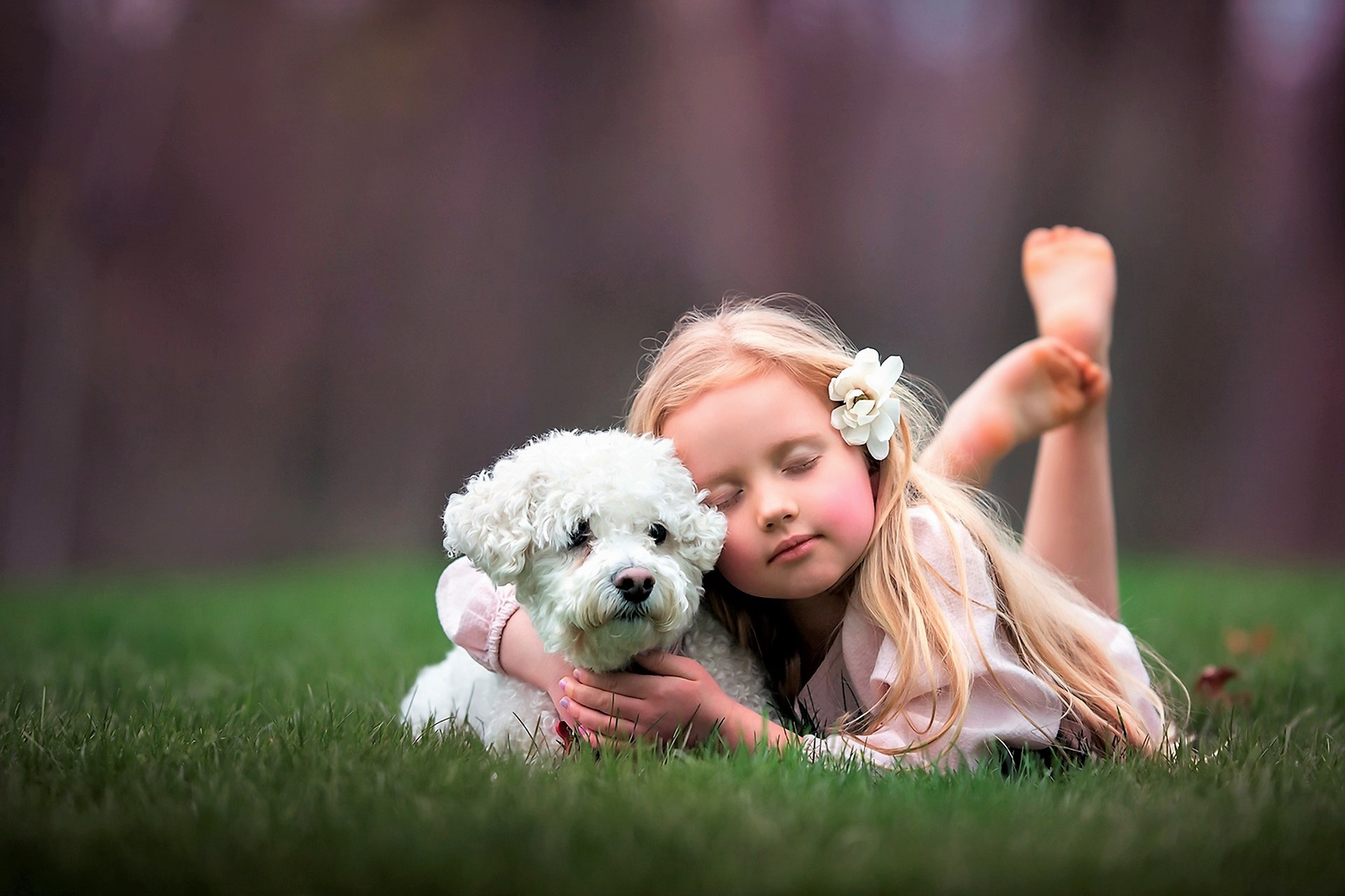 Download mobile wallpaper Flower, Dog, Child, Cute, Photography, Little Girl for free.