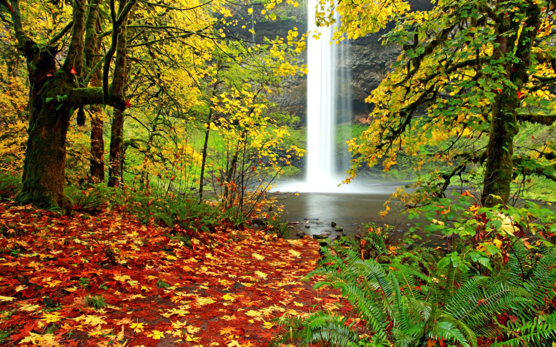 無料モバイル壁紙川, ストリーム, シーズン, 葉, 風光明媚な, 滝, 秋, 自然, 地球をダウンロードします。
