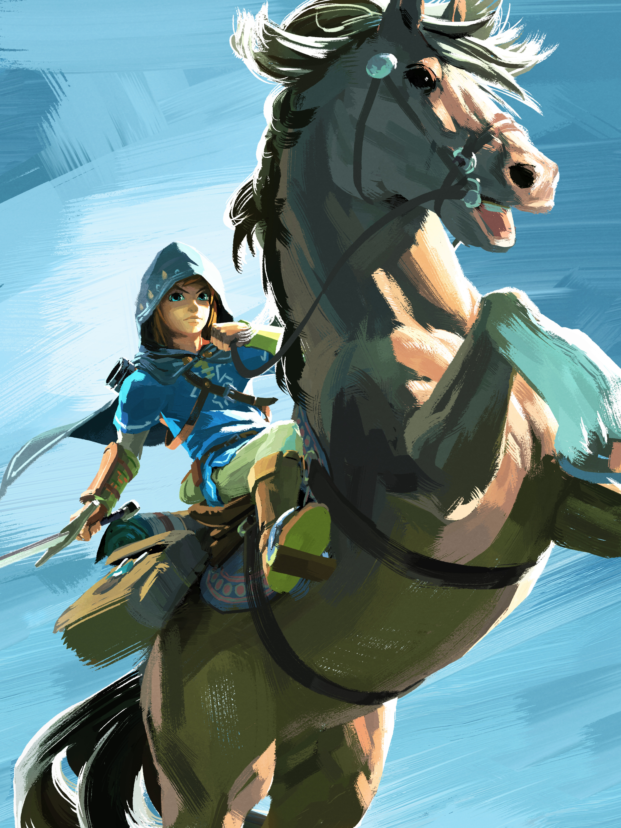 Download mobile wallpaper Link, Video Game, Zelda for free.