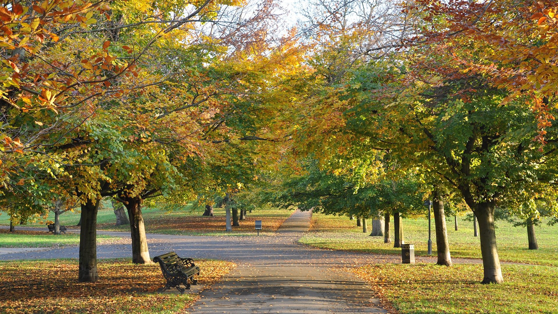 Laden Sie das Herbst, Park, Fotografie-Bild kostenlos auf Ihren PC-Desktop herunter