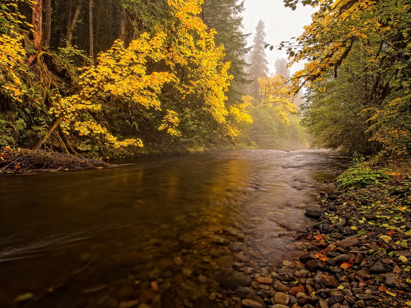 Laden Sie das Landschaft, Flüsse, Herbst-Bild kostenlos auf Ihren PC-Desktop herunter