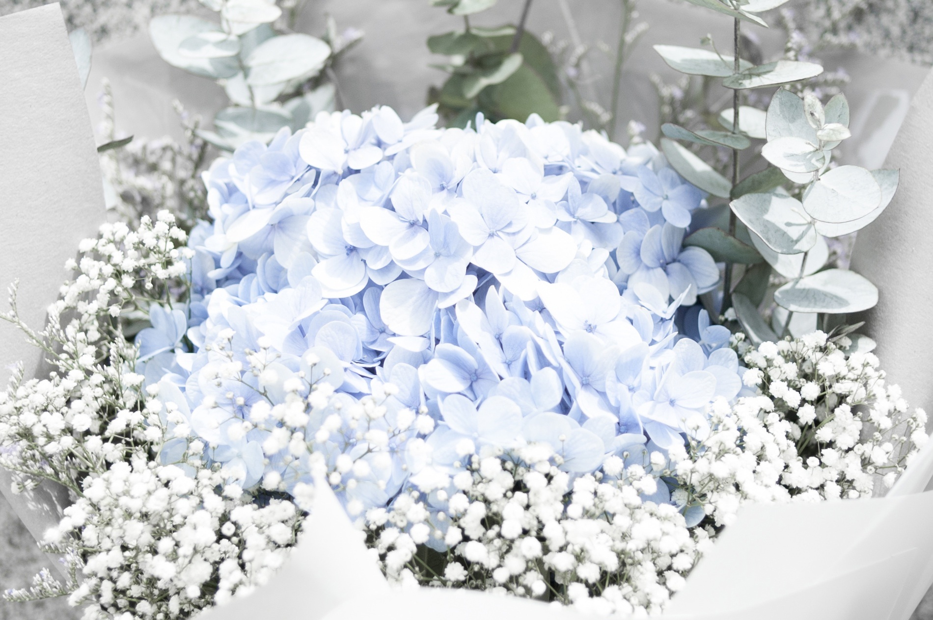 Téléchargez gratuitement l'image Tendresse, Fleurs, Bouquet sur le bureau de votre PC