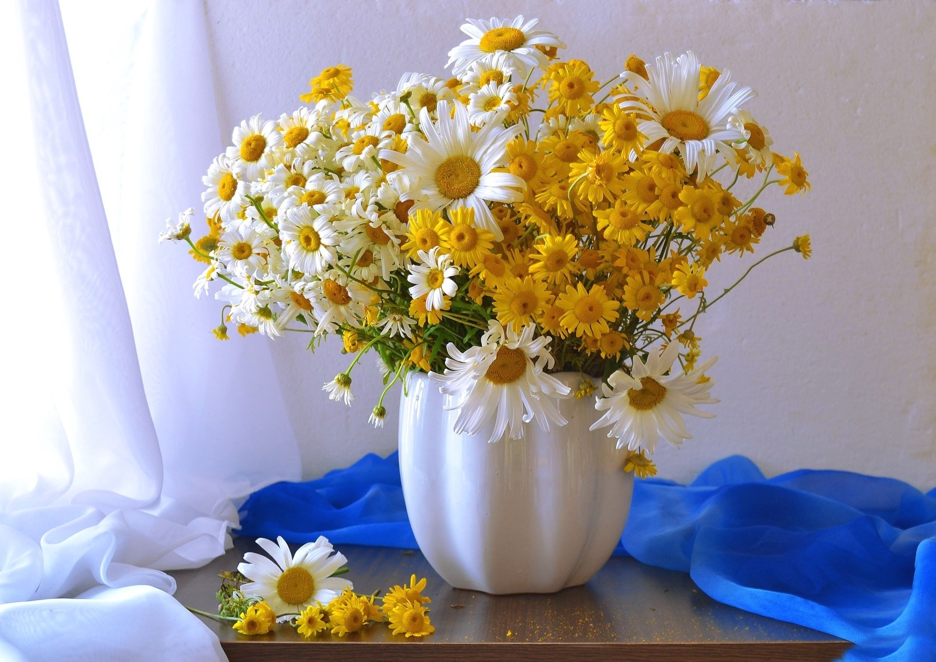 Download mobile wallpaper Flower, Vase, Daisy, Yellow Flower, White Flower, Man Made for free.