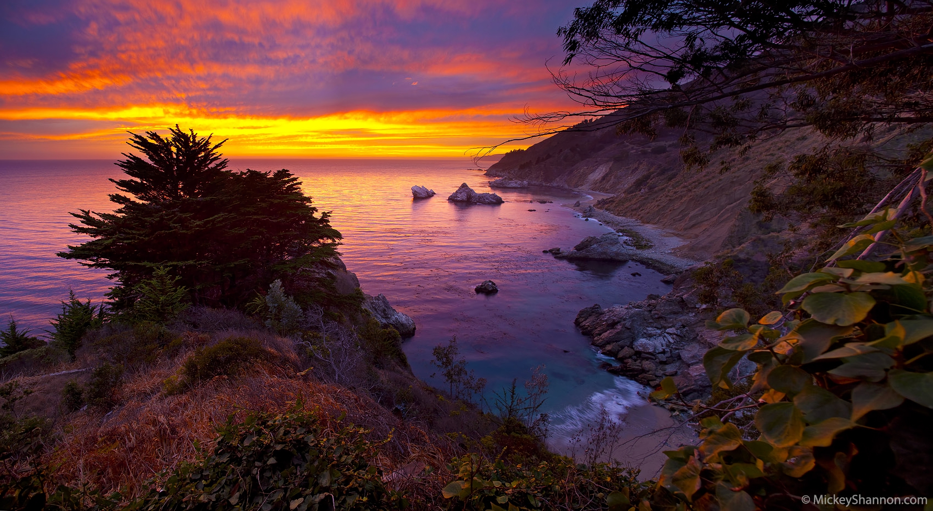 Free download wallpaper Sunset, Sea, Horizon, Coast, Tree, Ocean, Earth, Coastline on your PC desktop