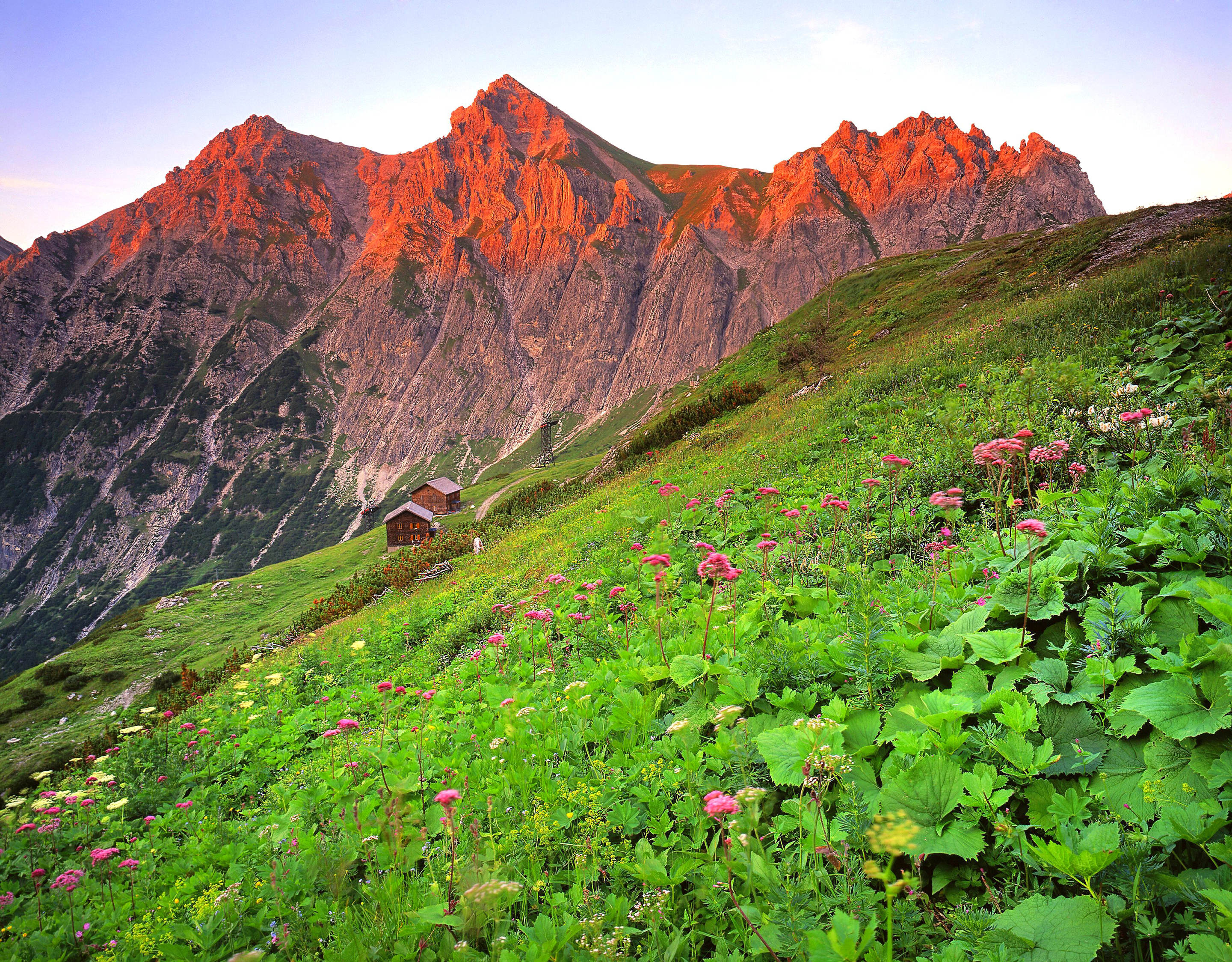 grass, austria, nature, mountain, slope, brandnertal Full HD