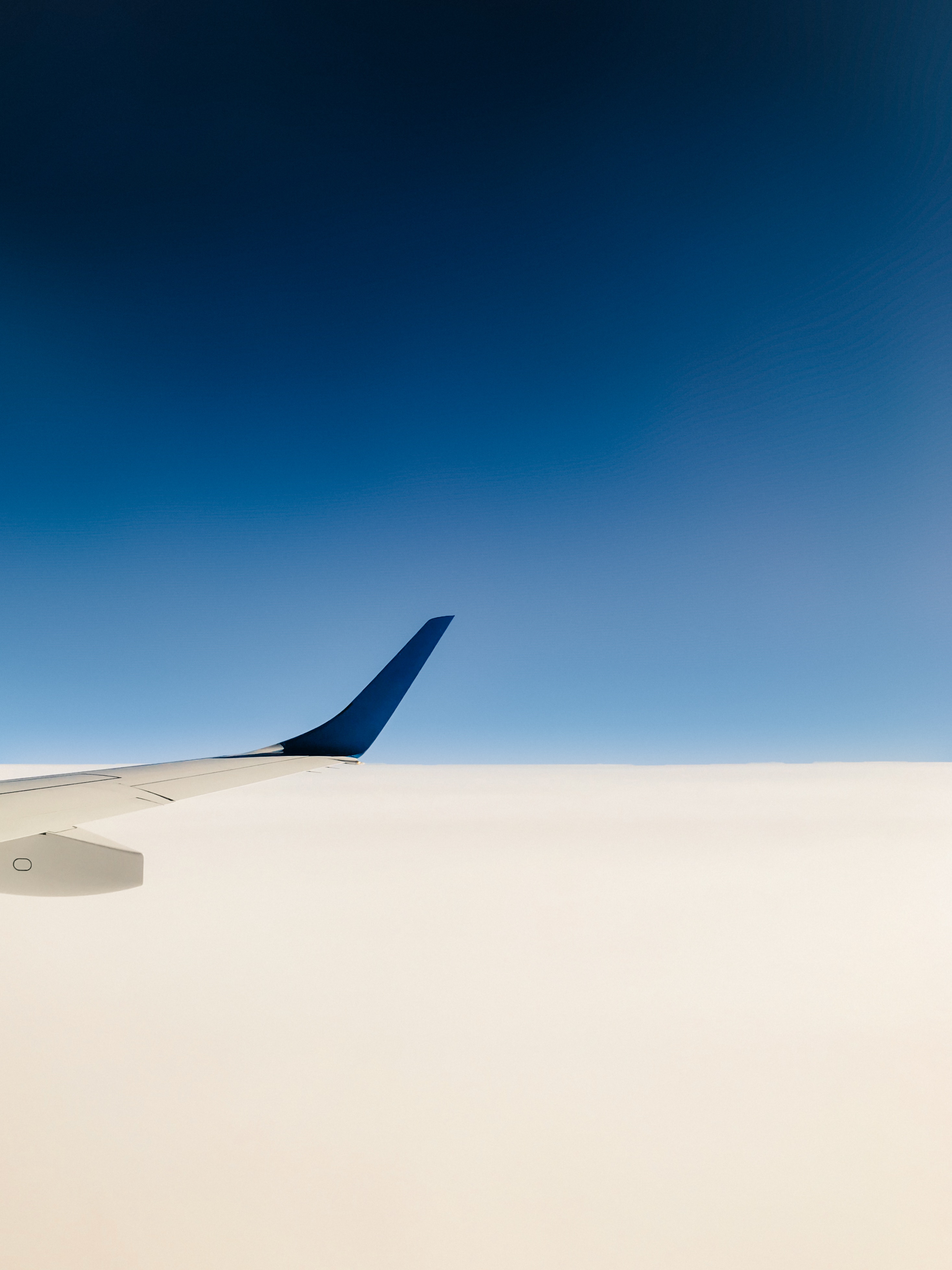 minimalism, sky, white, blue, wing, plane, airplane
