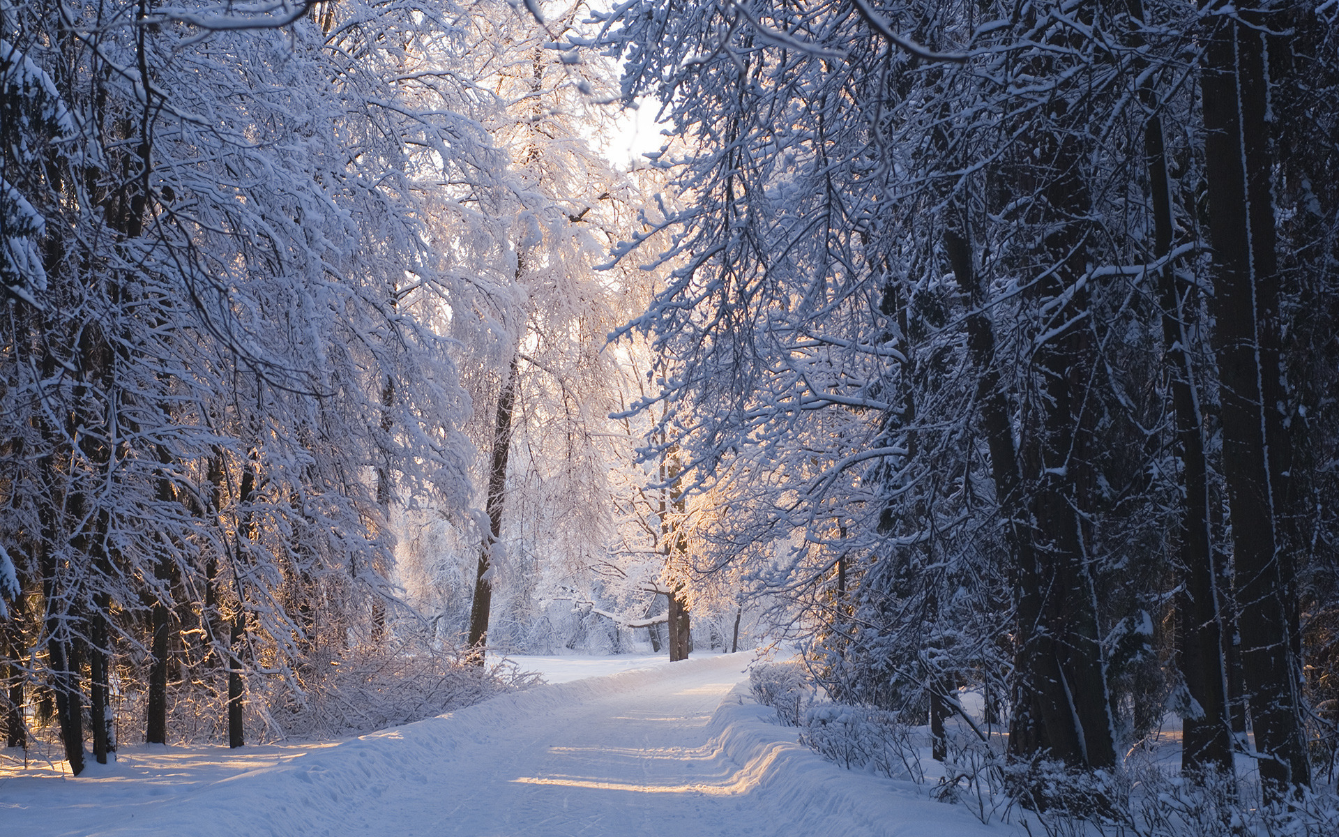 Descarga gratis la imagen Invierno, Tierra/naturaleza en el escritorio de tu PC