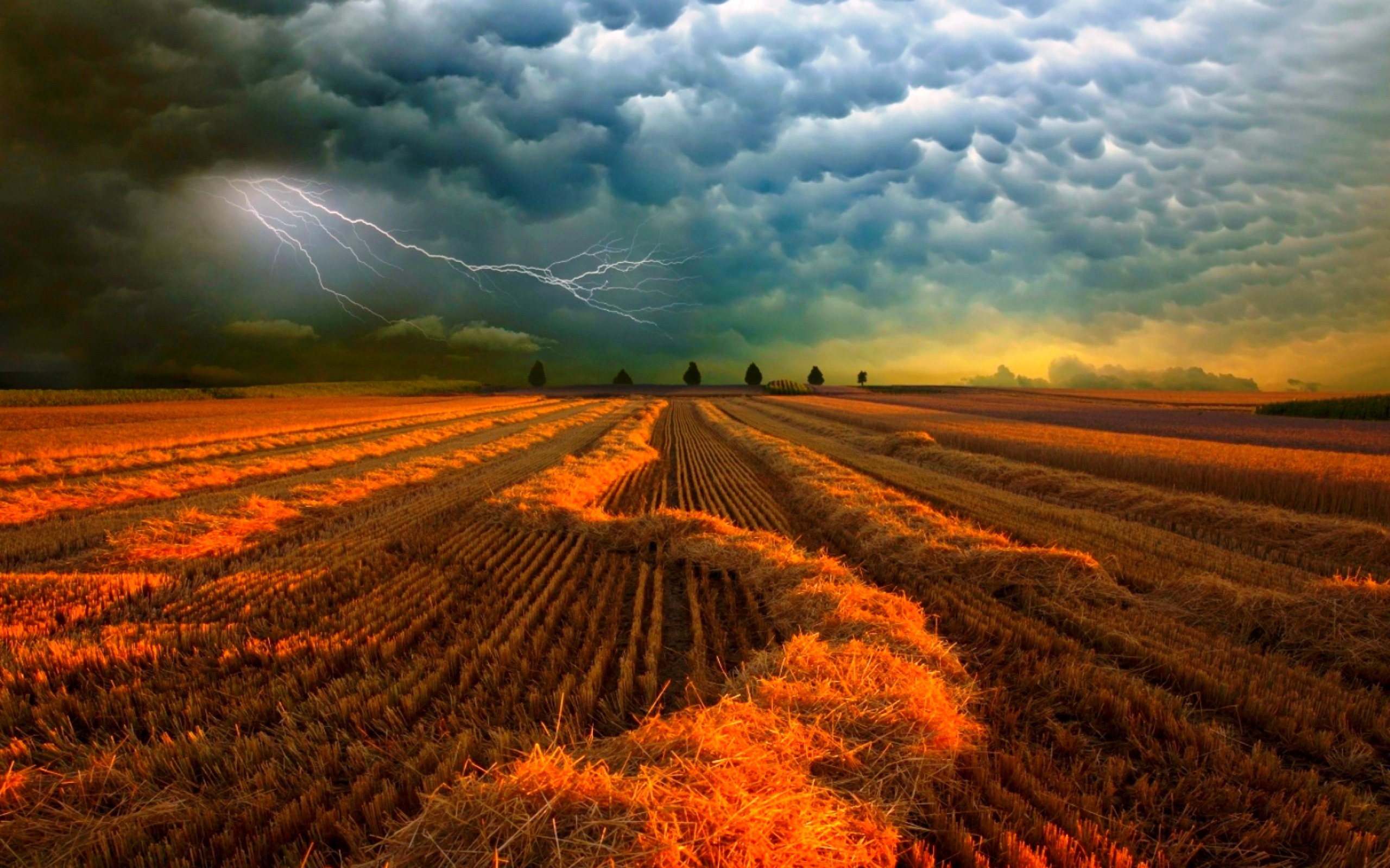 Free download wallpaper Sky, Lightning, Earth, Field, Storm, Cloud on your PC desktop