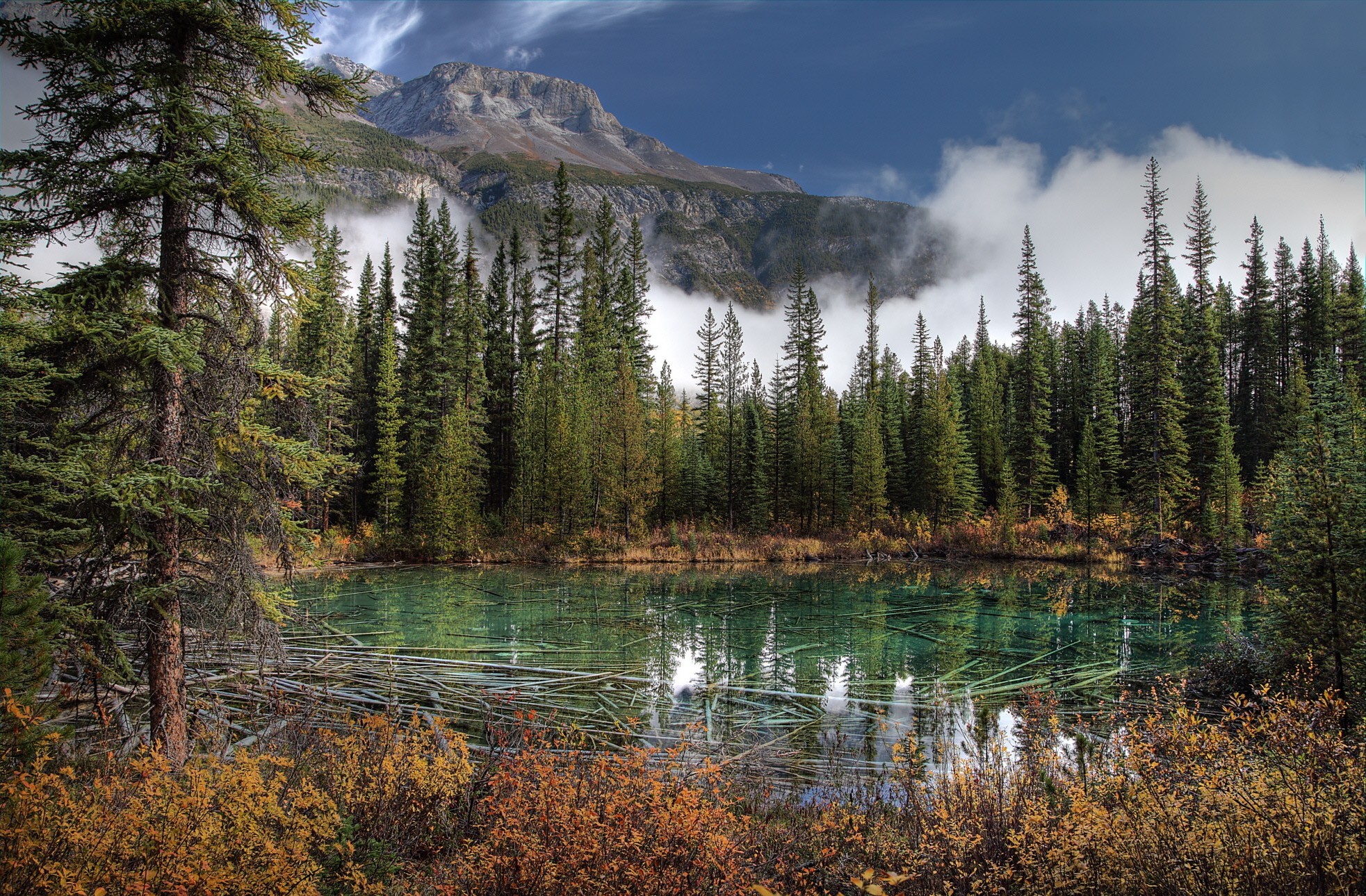 Free download wallpaper Mountains, Mountain, Lake, Tree, Fog, Earth on your PC desktop