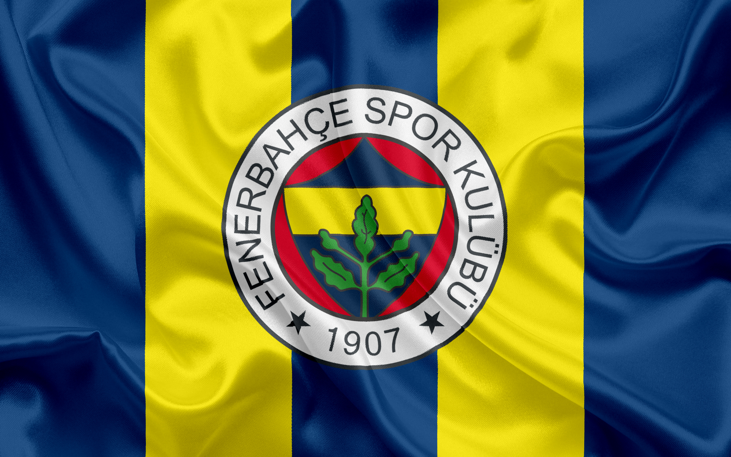 Baixar papéis de parede de desktop Fenerbahçe Spor Kulübü HD