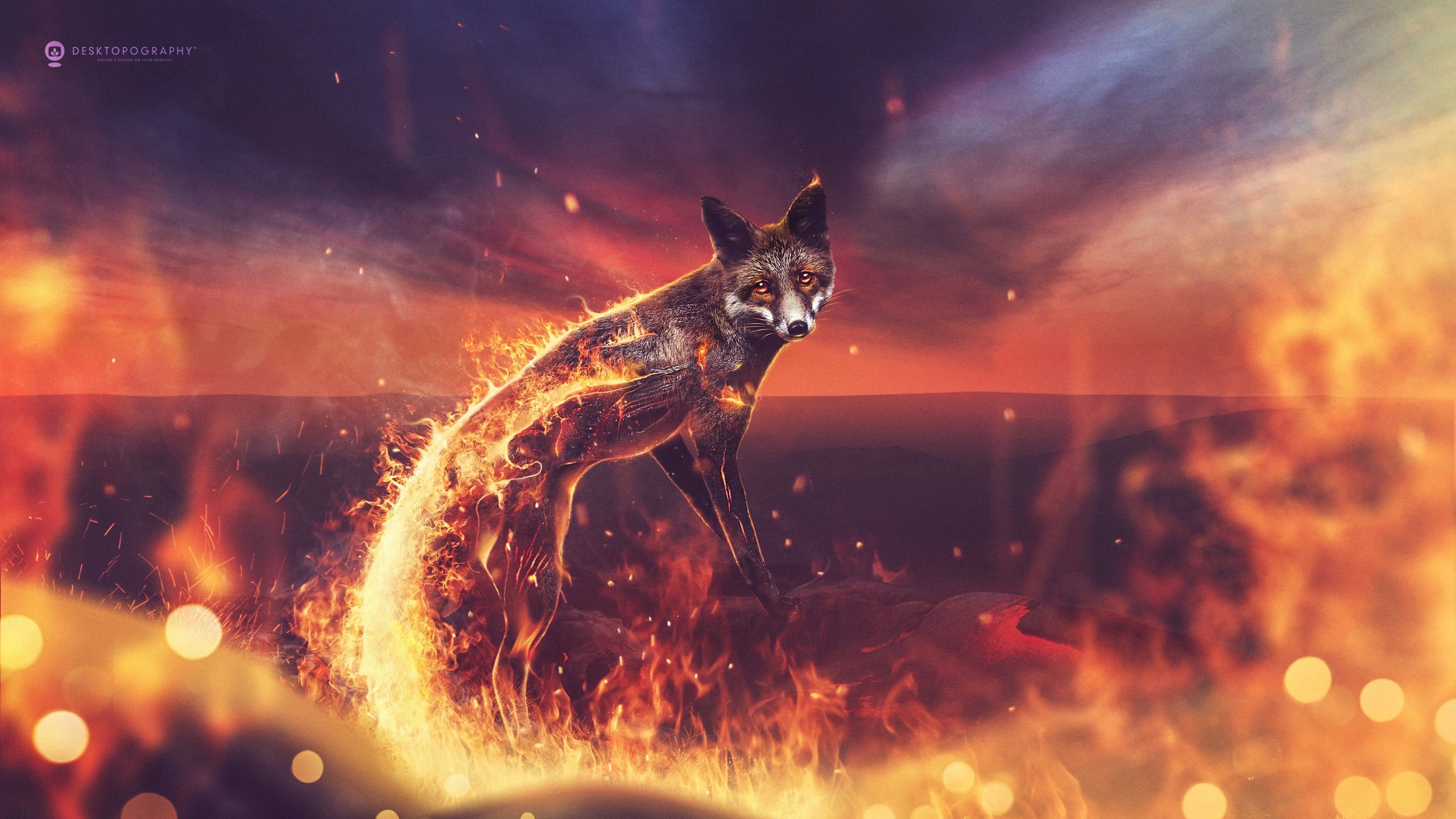 Free download wallpaper Fantasy, Fox, Fantasy Animals on your PC desktop