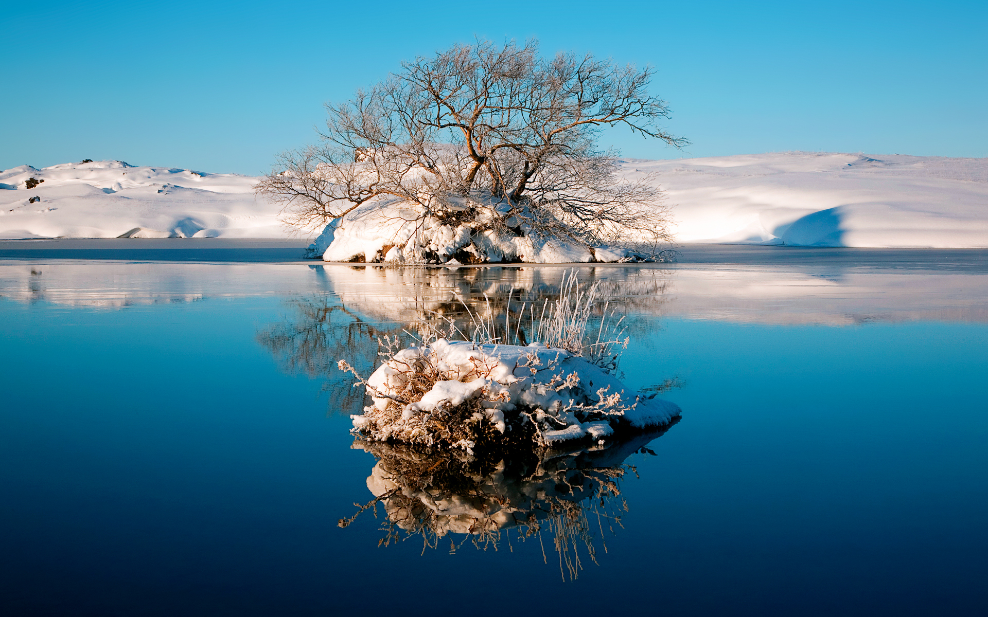 Descarga gratuita de fondo de pantalla para móvil de Tierra/naturaleza, Reflejo.