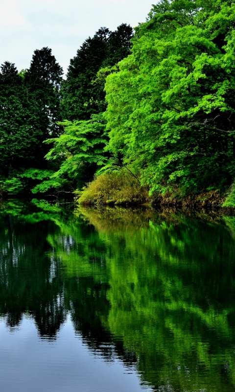 Скачать картинку Природа, Озера, Озеро, Отражение, Зеленый, Земля/природа в телефон бесплатно.
