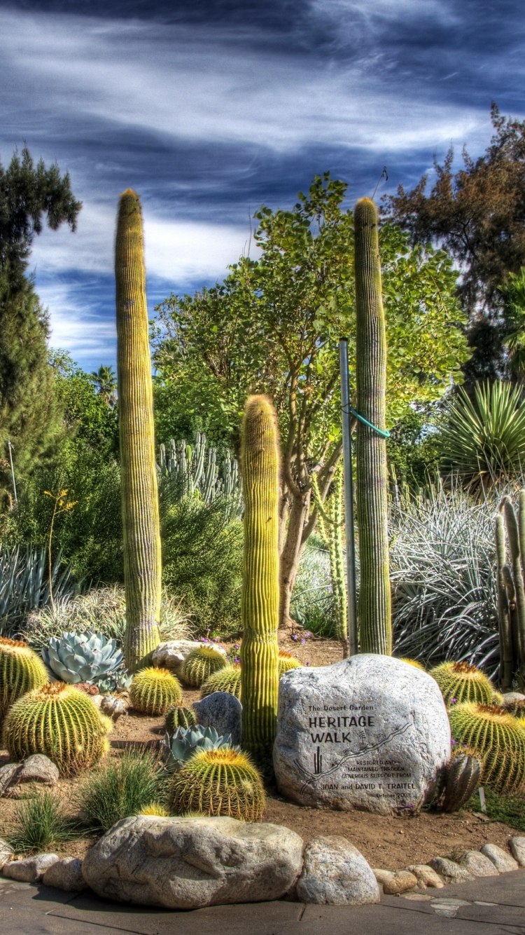 Descarga gratuita de fondo de pantalla para móvil de Paisaje, Cactus, Parque, Hdr, Fotografía.