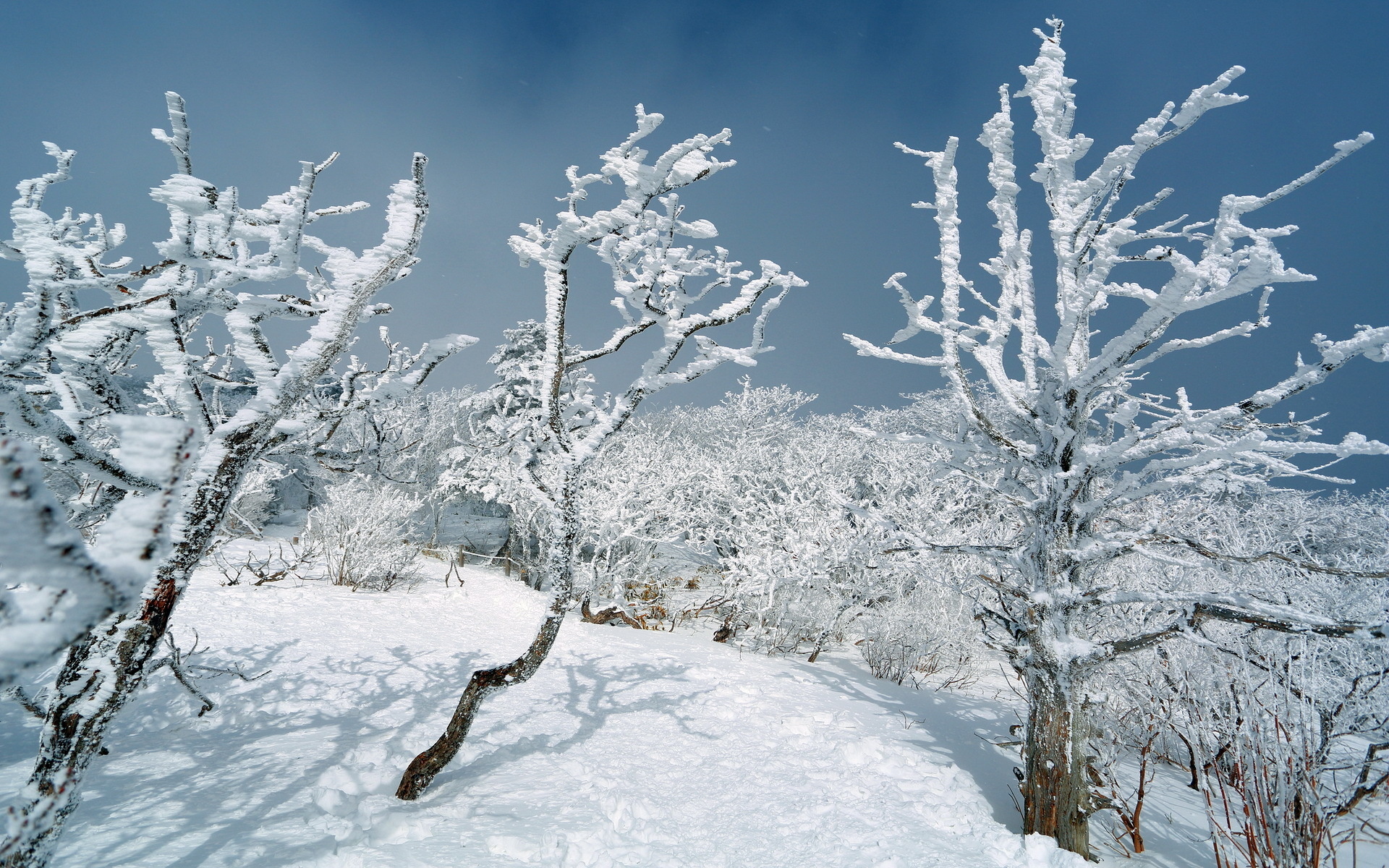 Handy-Wallpaper Winter, Erde/natur kostenlos herunterladen.