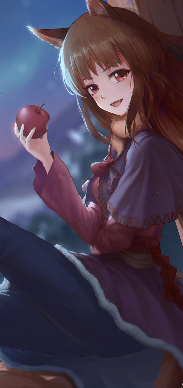 Download mobile wallpaper Anime, Holo (Spice & Wolf), Spice And Wolf for free.