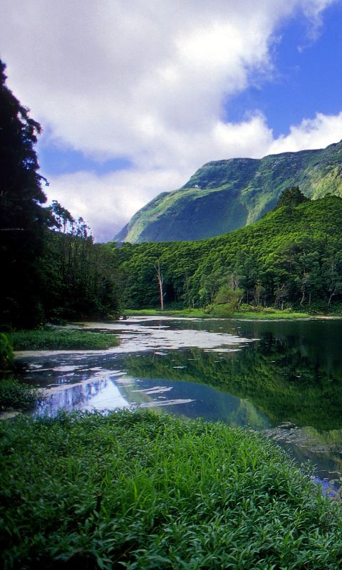 1257512 скачать обои азорские острова, водопад, лес, земля/природа, пейзаж, португалия, зеленый, земля, гора - заставки и картинки бесплатно