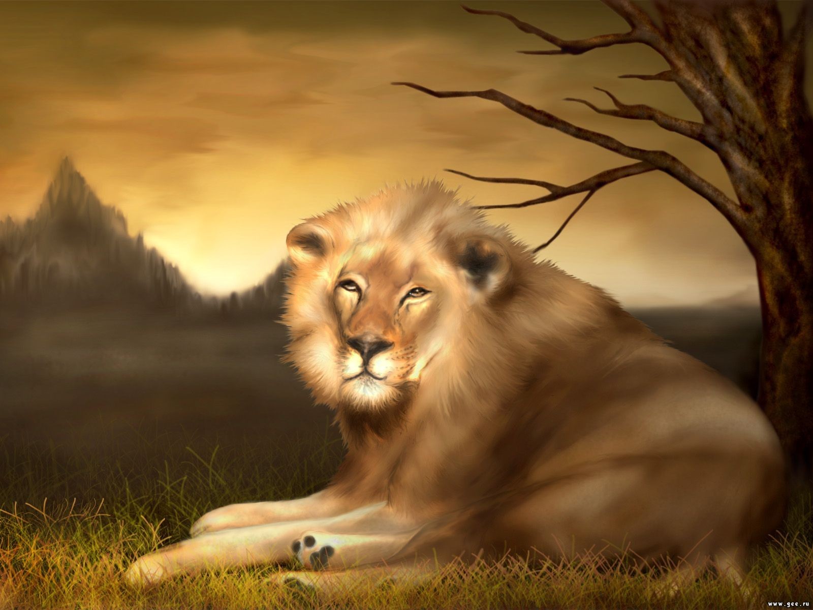 Download mobile wallpaper Cats, Lion, Animal for free.