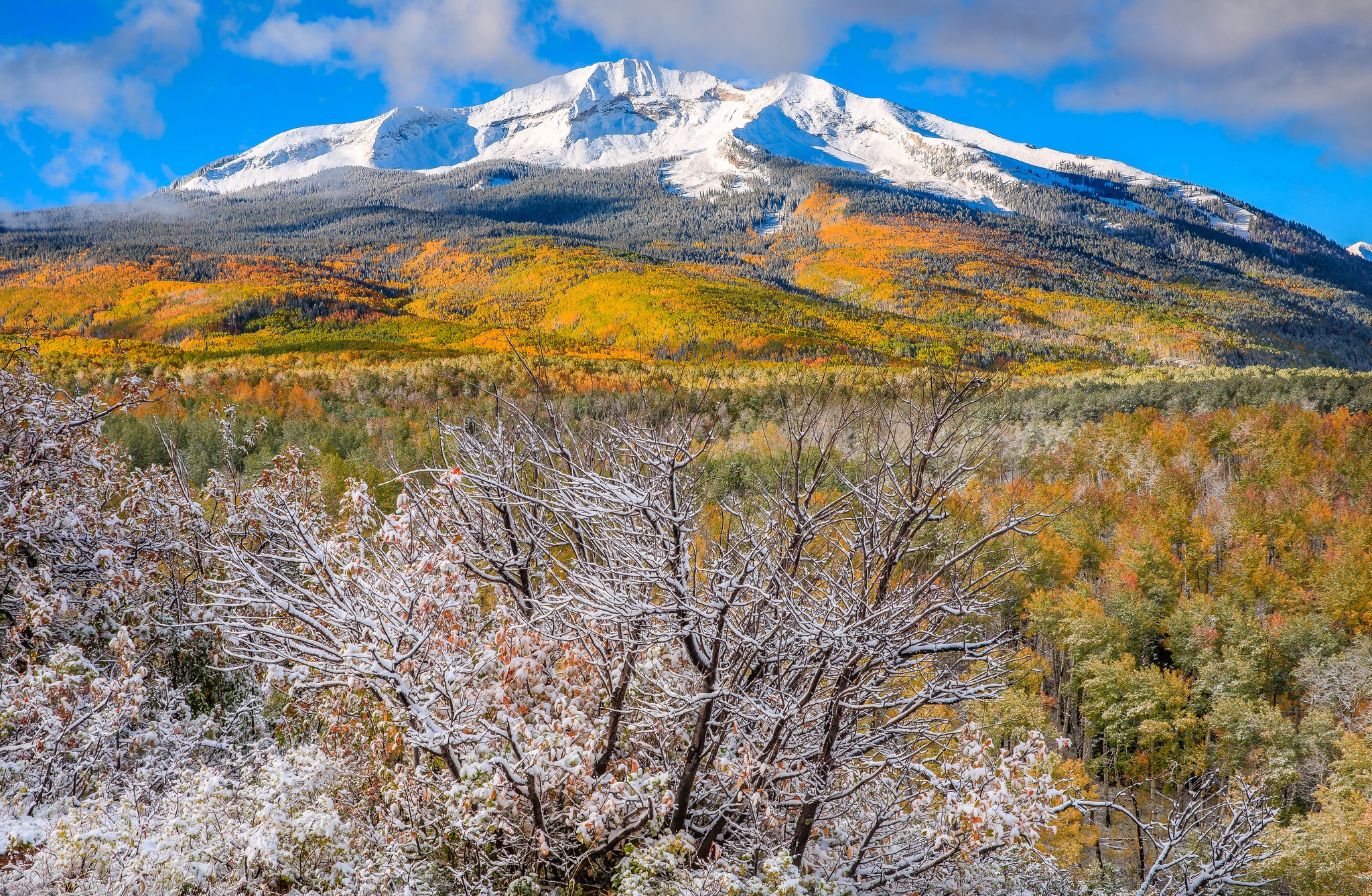 Descarga gratis la imagen Paisaje, Naturaleza, Montaña, Bosque, Tierra/naturaleza en el escritorio de tu PC