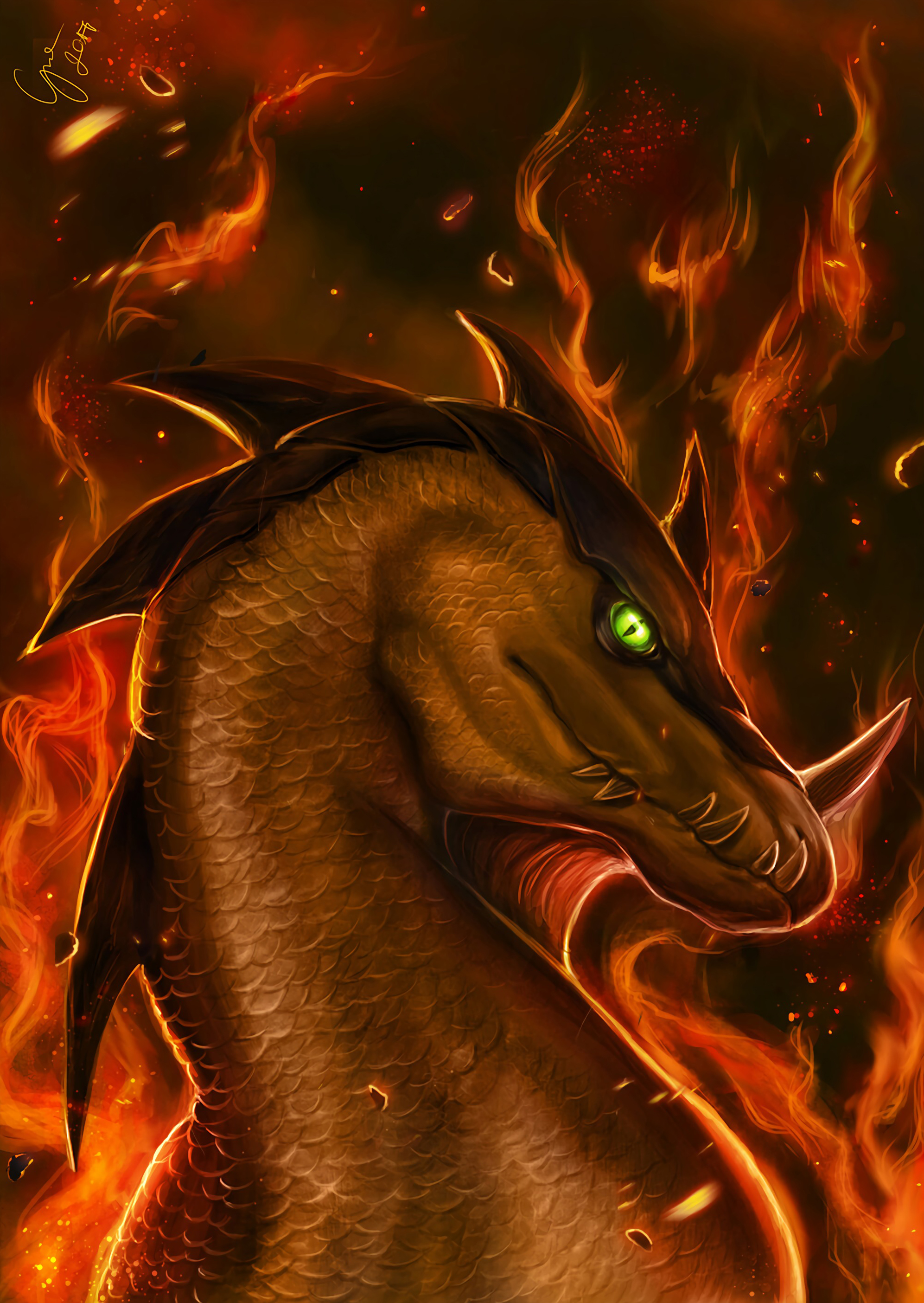 123824 télécharger le fond d'écran le dragon, art, feu, flamme, dragon, fantastique - économiseurs d'écran et images gratuitement