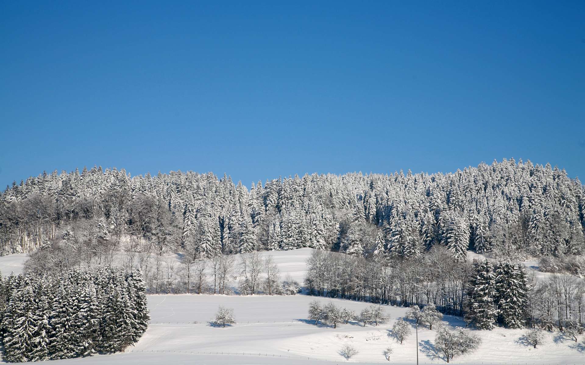 Handy-Wallpaper Winter, Erde/natur kostenlos herunterladen.